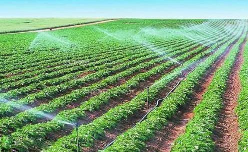 抽插视频30分钟农田高 效节水灌溉